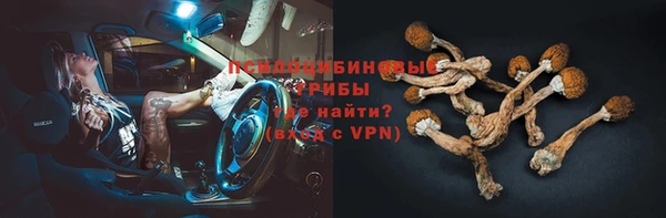 стафф Богородицк