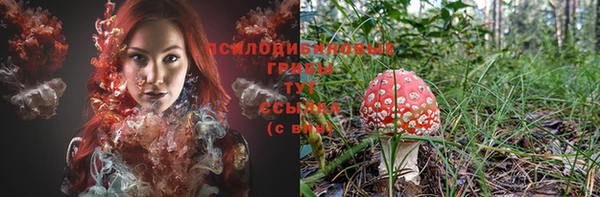 соль ск Бронницы