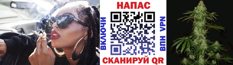 Бошки Шишки гибрид Жуковка